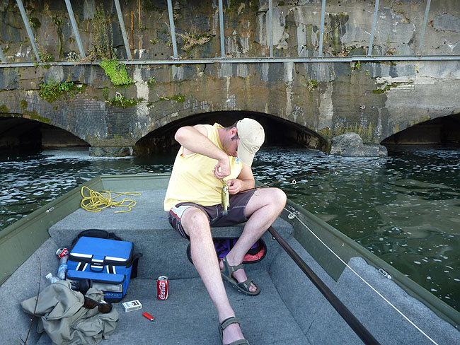 Pulling the hook from a small one.JPG